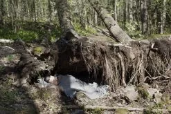 Lapuan Kankurit Fodera Per Cuscino Metsä 45 X 45 Cm, Grigio Scuro -Vendite Tappeti lapuankankurit metsa cushion cover and blanket dark grey 2