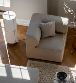 Menu Cuscino Mimoides, 60 X 60 Cm, Beige -Vendite Tappeti sisustuskuva Mimoides Pillow Birch VS